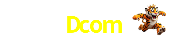 Logo da 9Dcom